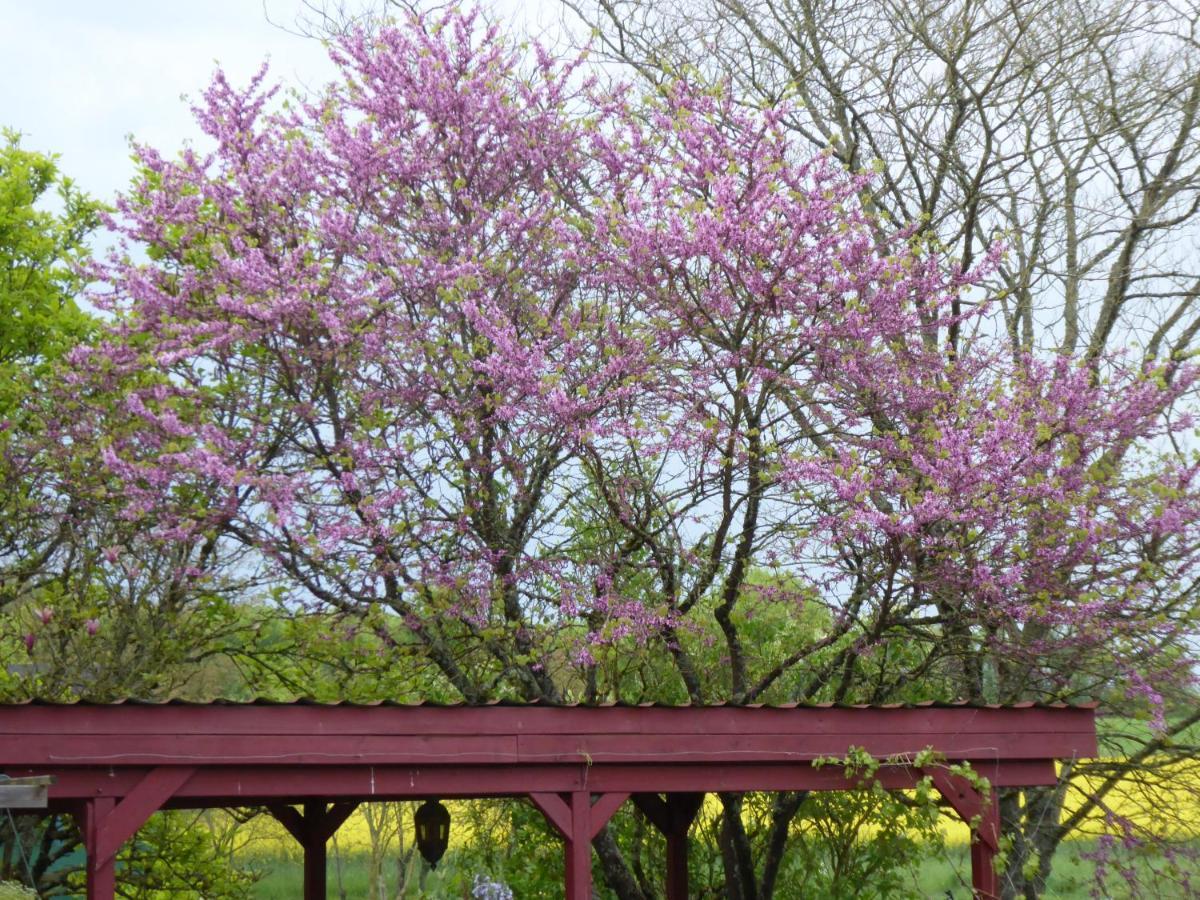 Montigny  Chalet Aux Pied Des Vignes מראה חיצוני תמונה