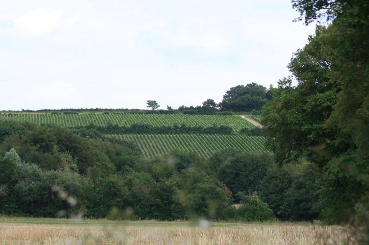 Montigny  Chalet Aux Pied Des Vignes מראה חיצוני תמונה